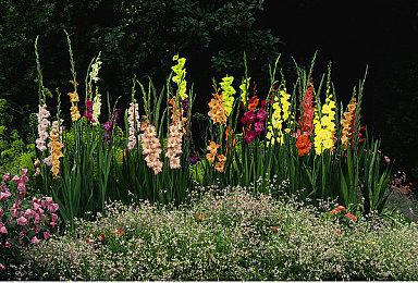 《玛娜传奇 重制版》手机版今日发售 登陆苹果安卓